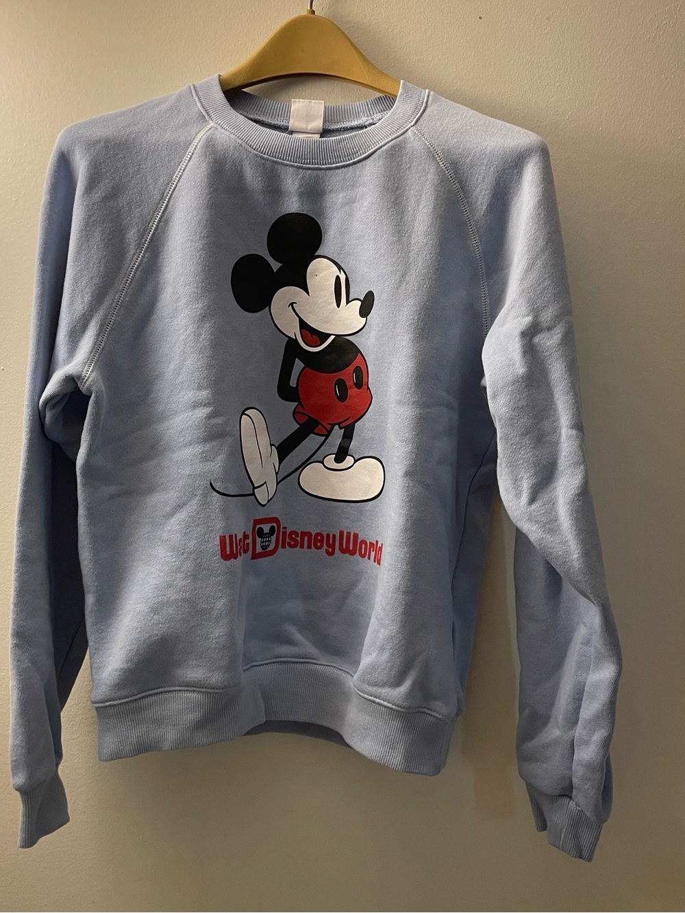 Disney Parks Walt Disney World Crew Neck light blue